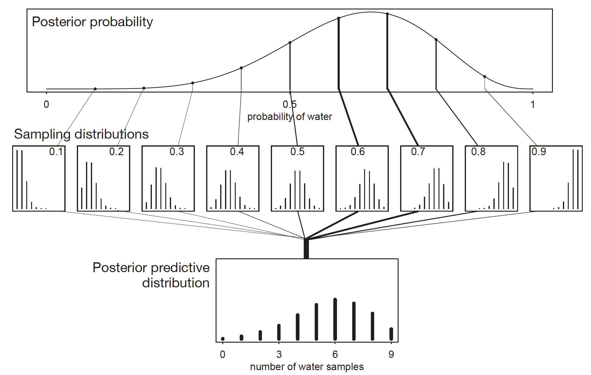 Posterior Predictive Distribution. Image from Statistical rethinking: A Bayesian course with examples in R and Stan by Richard McElreath.